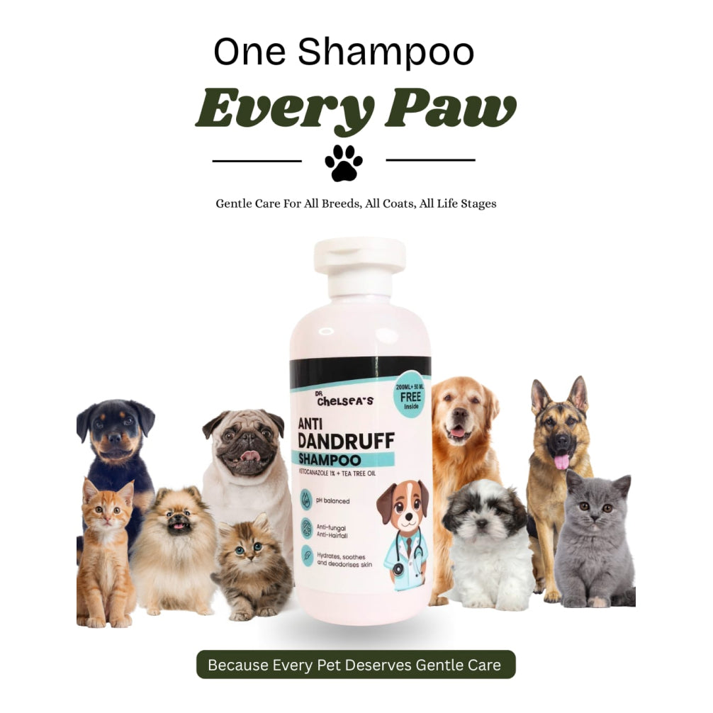 Dr. Chelsea’s Anti Dandruff Shampoo for Dogs & Cats Both-Grooming Supplies Dr. Chelsea's Dropship