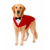 PawsIndia Red & White Tuxedo Suit for Dogs Dogs-Clothing & Accessories Pawsindia Dropship