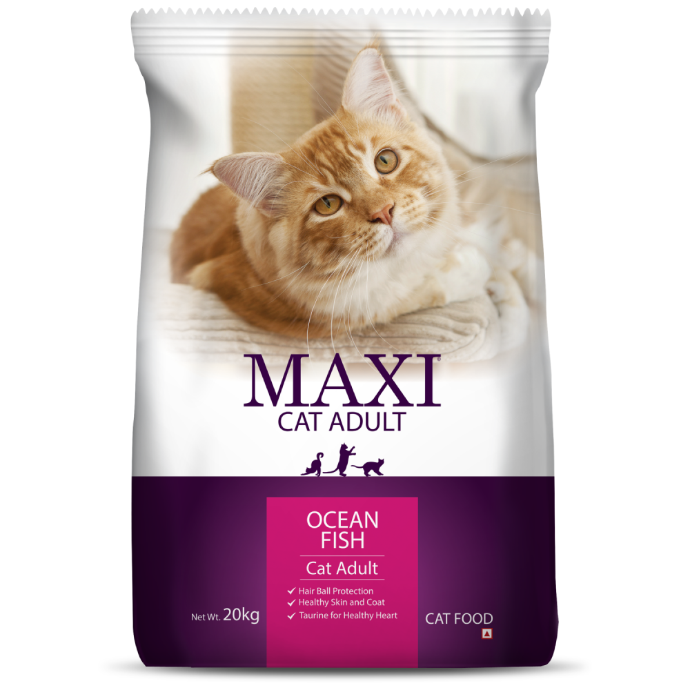 Maxi Adult Ocean Fish Adult Dry Cat Food