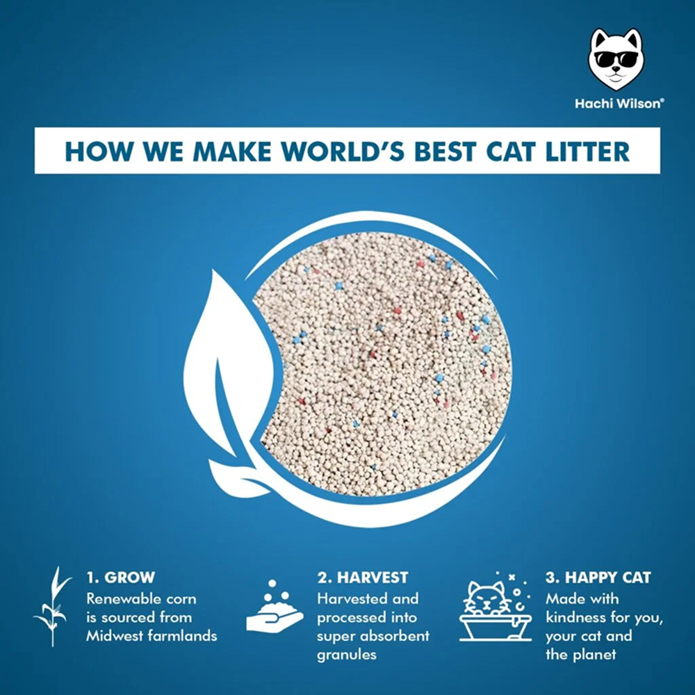 Hachi Wilson Scented Natural Bentonite White Sand Cat Litter Cats-Litter Hachi Wilson