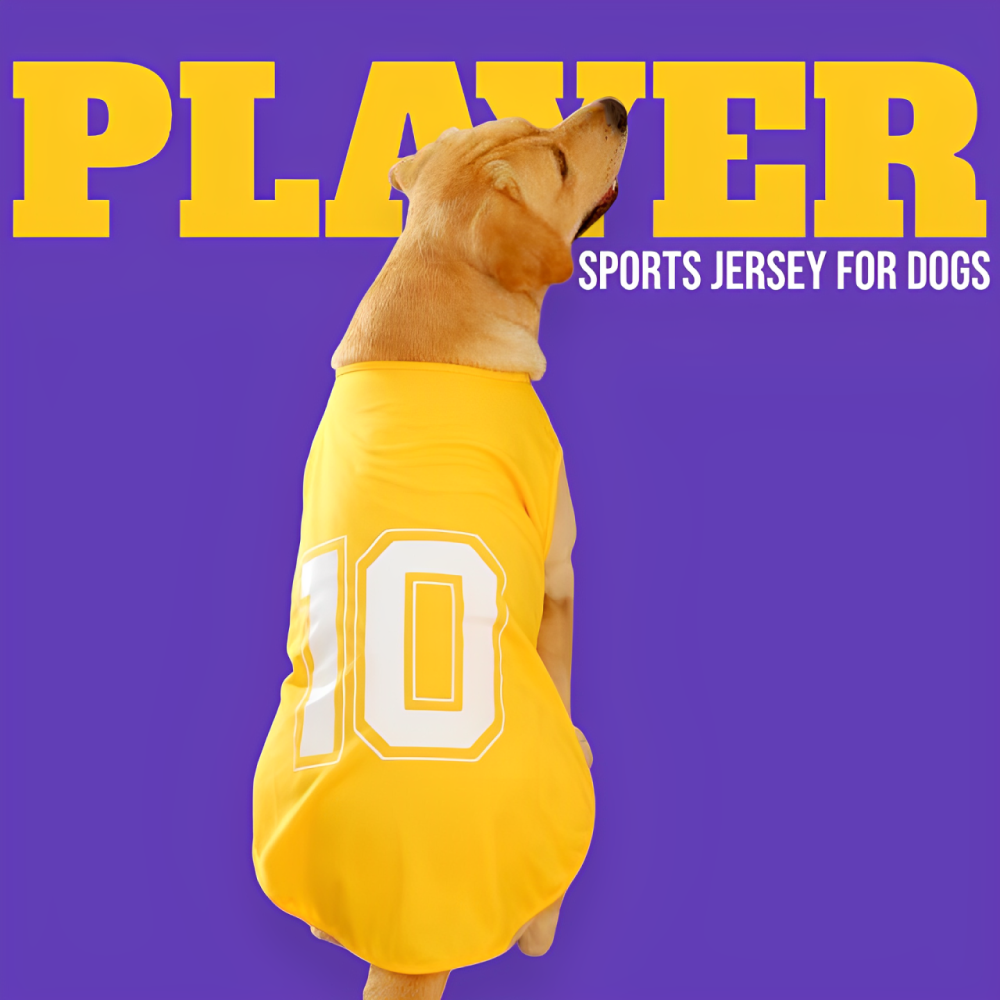 Talking Dog Club Player Ltd Edition Sports Tshirt for Dogs (Yellow)