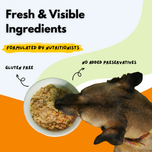Sploot Meals Mix Recipe Dog Wet Food