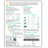 Doggos Chicken and Pumpkin Real Fresh Dog Wet Food (200g) Dogs-Fresh Food Doggos