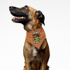 Pawsindia Apni Hati Toh Sabki Phati Pet Bandana for Dogs and Cats Dogs-Clothing & Accessories Pawsindia Dropship
