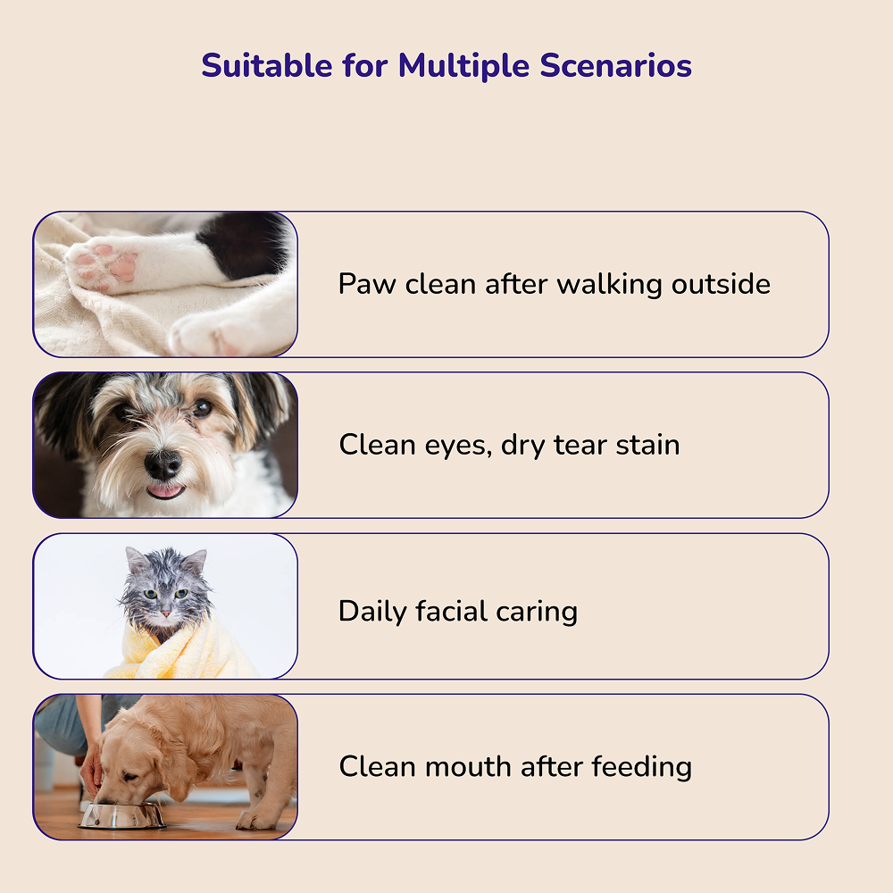 Petverse 2 in 1 Hair Drying & Hair Brush for Dogs & Cats Both-Grooming Supplies Petverse Dropship