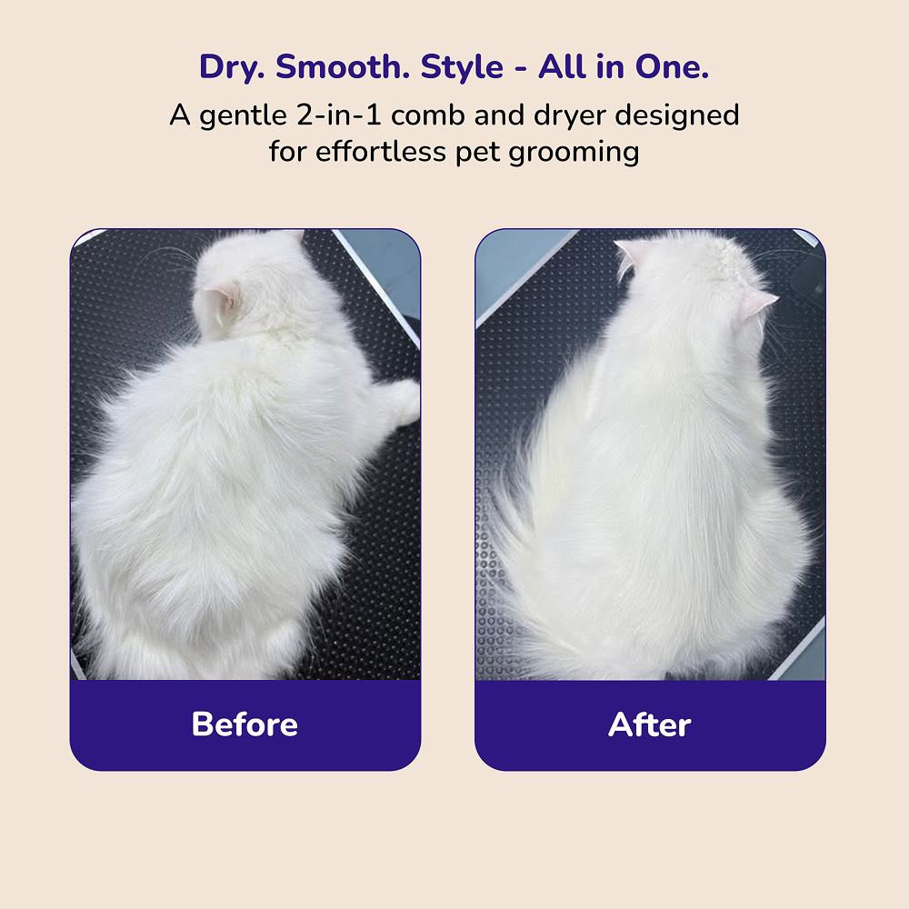 Petverse 2 in 1 Hair Drying & Hair Brush for Dogs & Cats Both-Grooming Supplies Petverse Dropship