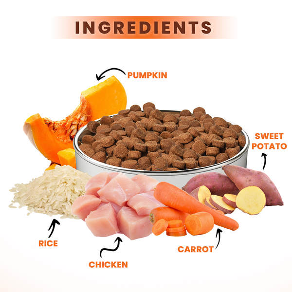 Lickicious Chicken and Vegetables Adult Dog Dry Food