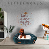 Petter World Ultra Luxury Micro Lounger Bed With Removable Sherpa for Dogs (Green) Dogs-Bedding, Mats & Travel Supplies Petter World Dropship