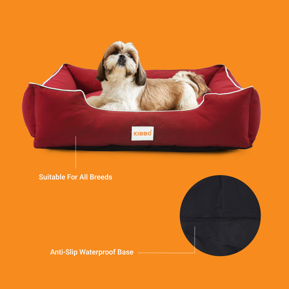 Chew clearance proof fabric