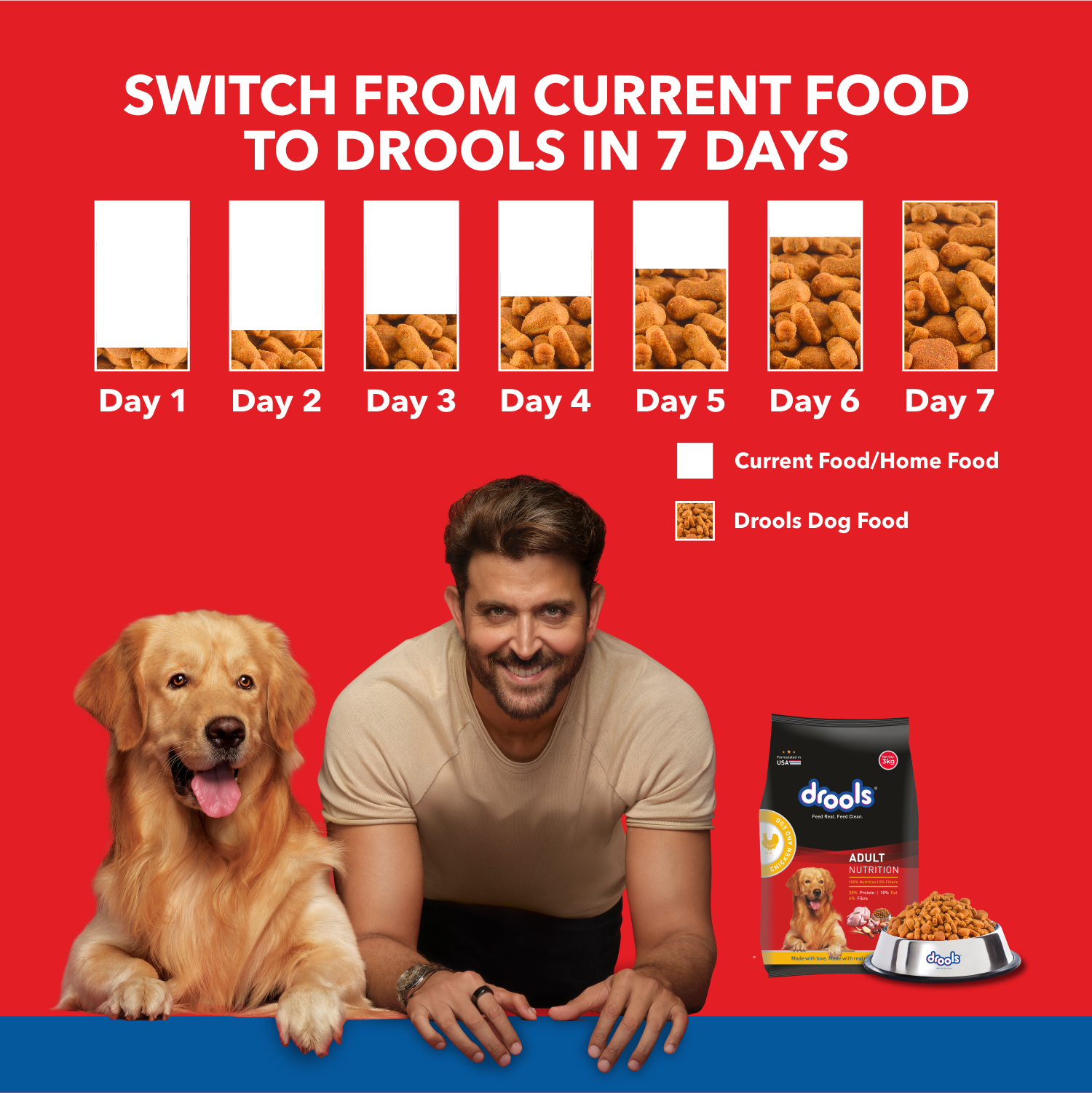 Drools Chicken and Egg Adult Dog Dry Food Dogs- Dry Food Drools