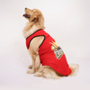 Skatrs Royal Cuddly Buddies Cricket Jersey for Dogs and Cats (Red) Both-Clothing & Accessories Skatrs