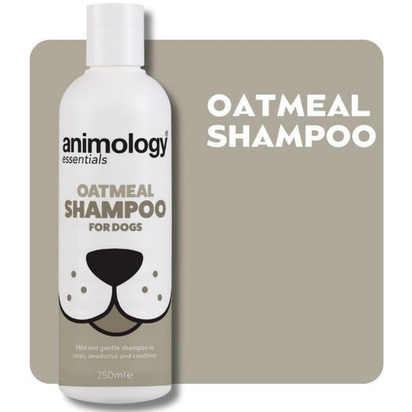 Saitrayaa Animology Essentials Oatmeal Shampoo for Dogs 250ml