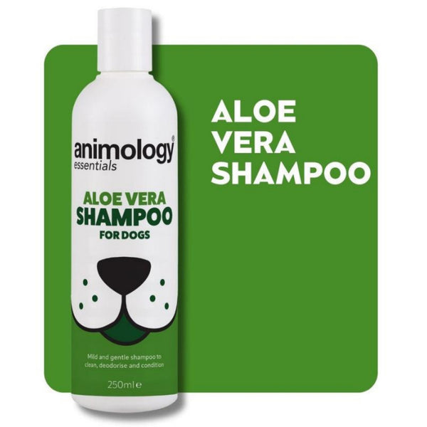 Saitrayaa Animology Essentials Aloe Vera Shampoo for Dogs 250ml