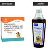 Intas Eazypet Dog Deworming Tablet (pack of 10 tablets) and Virbac Vitabest Derm Omega 3+6 Syrup for Dogs & Cats (250ml) Combo Dogs-Pharmacy Exclusive Combo 1 Strip (10 tablets)+250ml