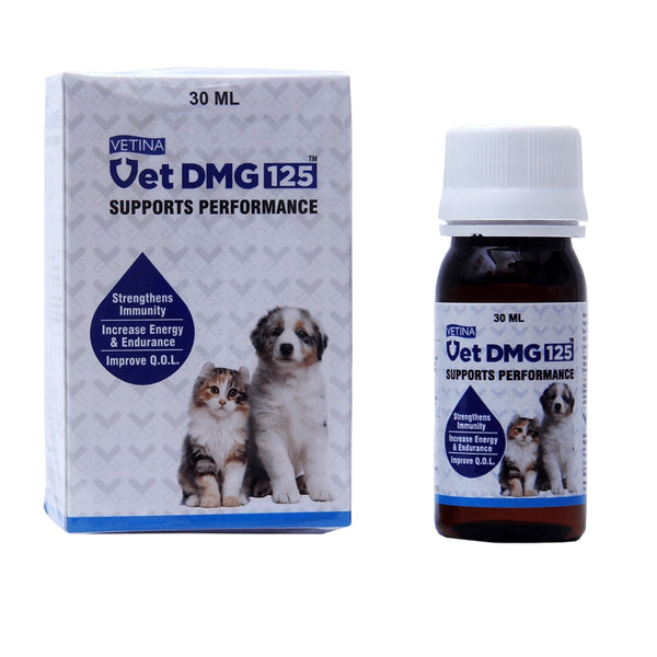 Vetina Vet Dmg 15ml for Dogs and Cats