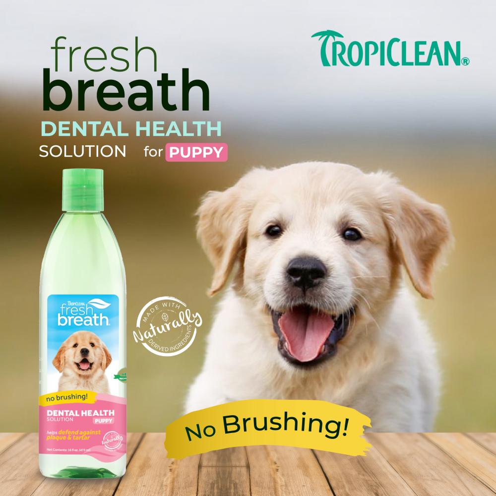 Tropiclean Fresh Breath Puppy Water Additive for Dogs