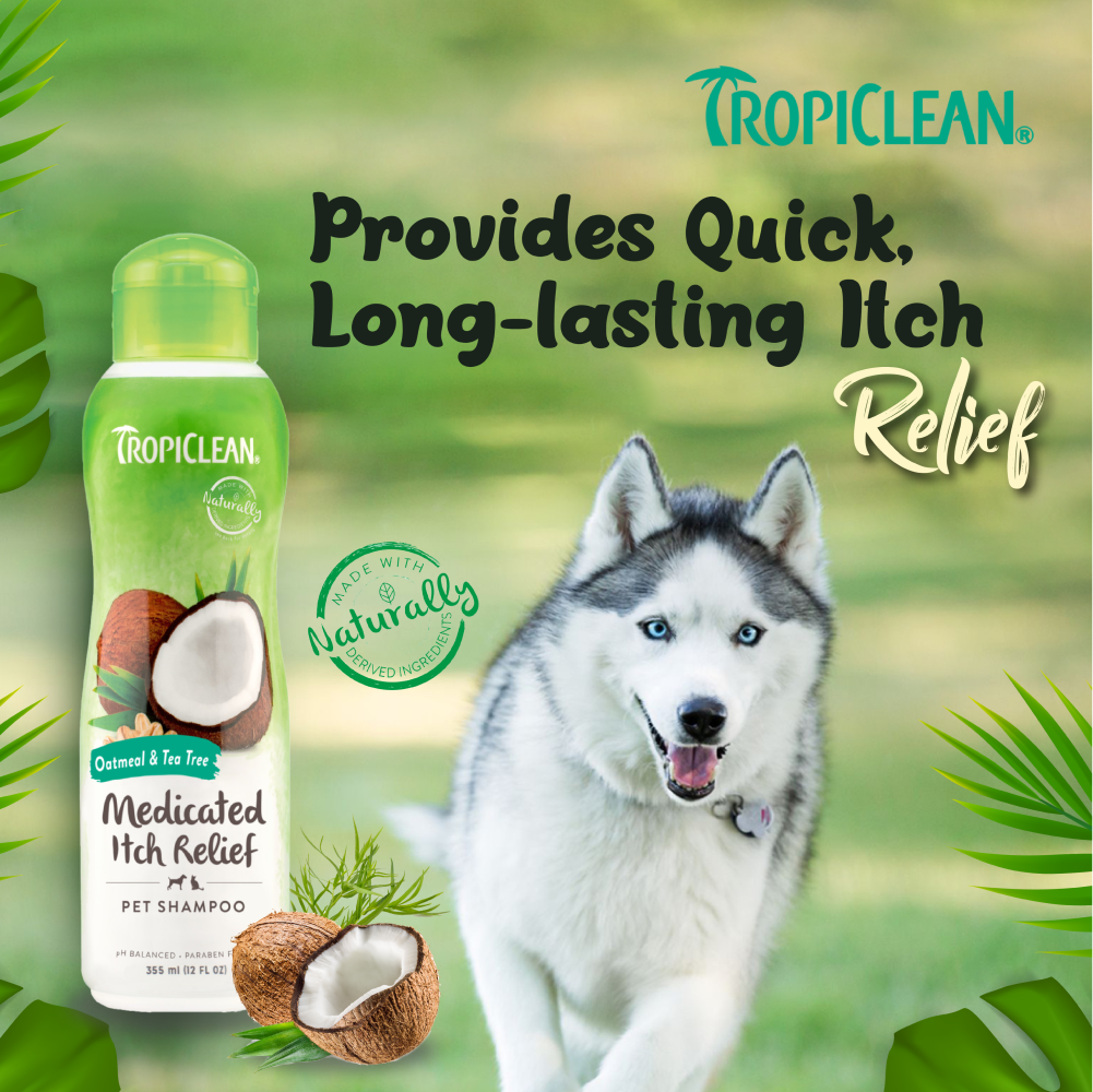 Tropiclean Medicated Oatmeal & Tea Tree Shampoo for Dogs