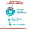 Royal Canin Hair & Skin, Hairball and Urinary Care Adult Cat Dry Food Combo Cats- Dry food Royal Canin