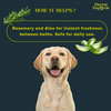 Doctor Doglittle Probiotic Dry Bath Shampoo for Dogs Dogs-Grooming Supplies Doctor Doglittle