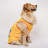 Skatrs Chepawk Superkings Cricket Jersey for Dogs and Cats (Yellow) Both-Clothing & Accessories Skatrs