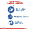 Royal Canin Indoor Adult Cat Dry Food Cats- Dry food Royal Canin