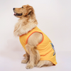 Skatrs Chepawk Superkings Cricket Jersey for Dogs and Cats (Yellow) Both-Clothing & Accessories Skatrs