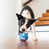 Red Dingo Durables Zebra Ball Toy For Dogs (White) Dogs-Toys Red Dingo Dropship