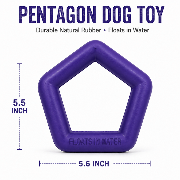 Talking Dog Club Sturdy Hexagon Floater Chew Toy for Dogs (Purple)