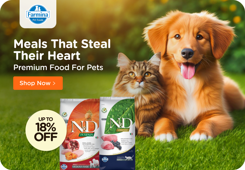 Dog supplier near hot sale me