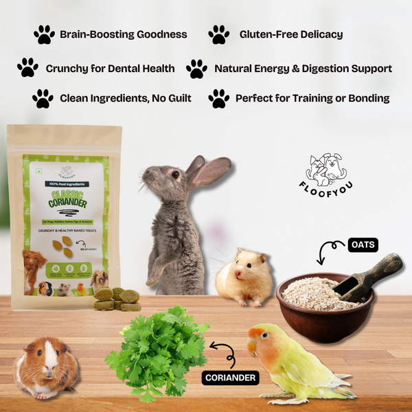 FloofYou Oven Baked Coriander Flavoured Small Animal Treats