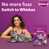 Whiskas Mackerel Flavour Dry Food for Mother and Baby Cat Cats- Dry food Whiskas