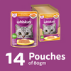 Whiskas Chicken with Salmon in Jelly Adult Cat Wet Food Cats-Wet Food Whiskas