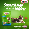Kitekat Ocean Fish Adult Cat Dry Food Cats- Dry food Kitekat