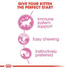 Royal Canin Persian Dry Food and Gravy Kitten Cat Wet Food Combo Exclusive Combo Royal Canin