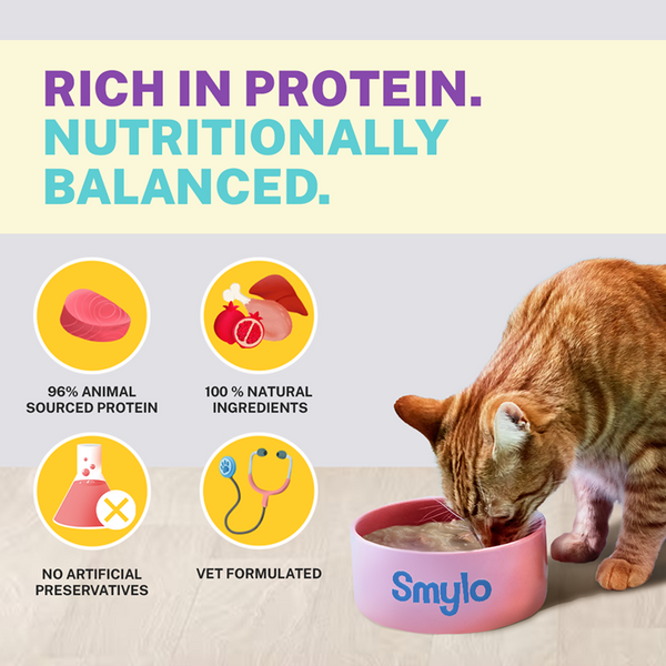 Smylo Chicken, Liver and Pomergranate Fresh and No Preservative Kitten Cat Wet Food