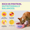 Smylo Chicken, Liver and Pomergranate Fresh and No Preservative Kitten Cat Wet Food Cats-Wet Food Smylo