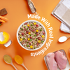Homiee & Ginger Mini Meals Chicken & Barley Fresh Food for Dogs (Buy 2 Get 1 Free) Dogs-Wet Food Homiee & Ginger