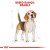 Royal Canin Beagle Adult Dog Dry Food Dogs- Dry Food Royal Canin