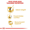 Royal Canin Beagle Adult Dog Dry Food Dogs- Dry Food Royal Canin