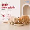 Drools Mackerel Kitten (1 to 12 Months) Cat Dry Food Cats- Dry food Drools