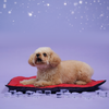 Skatrs Cooling Mat for Dogs (Red) Dogs-Bedding, Mats & Travel Supplies Skatrs M