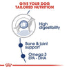 Royal Canin Boxer Dry Food and Maxi Adult Dog Wet Food Combo Exclusive Combo Royal Canin
