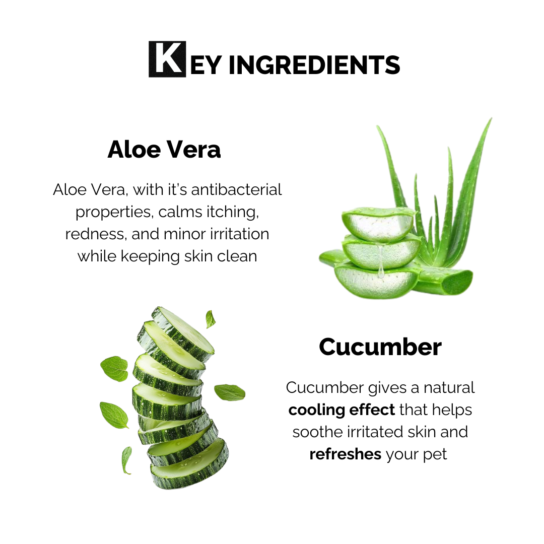 Moe Puppy Aloe Vera & Cucumber 100% Biodegradable Drema Wipes for Dogs and Cats Both-Grooming Supplies Moe Puppy