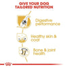 Royal Canin German Shepherd Adult Dog Dry Food Dogs- Dry Food Royal Canin