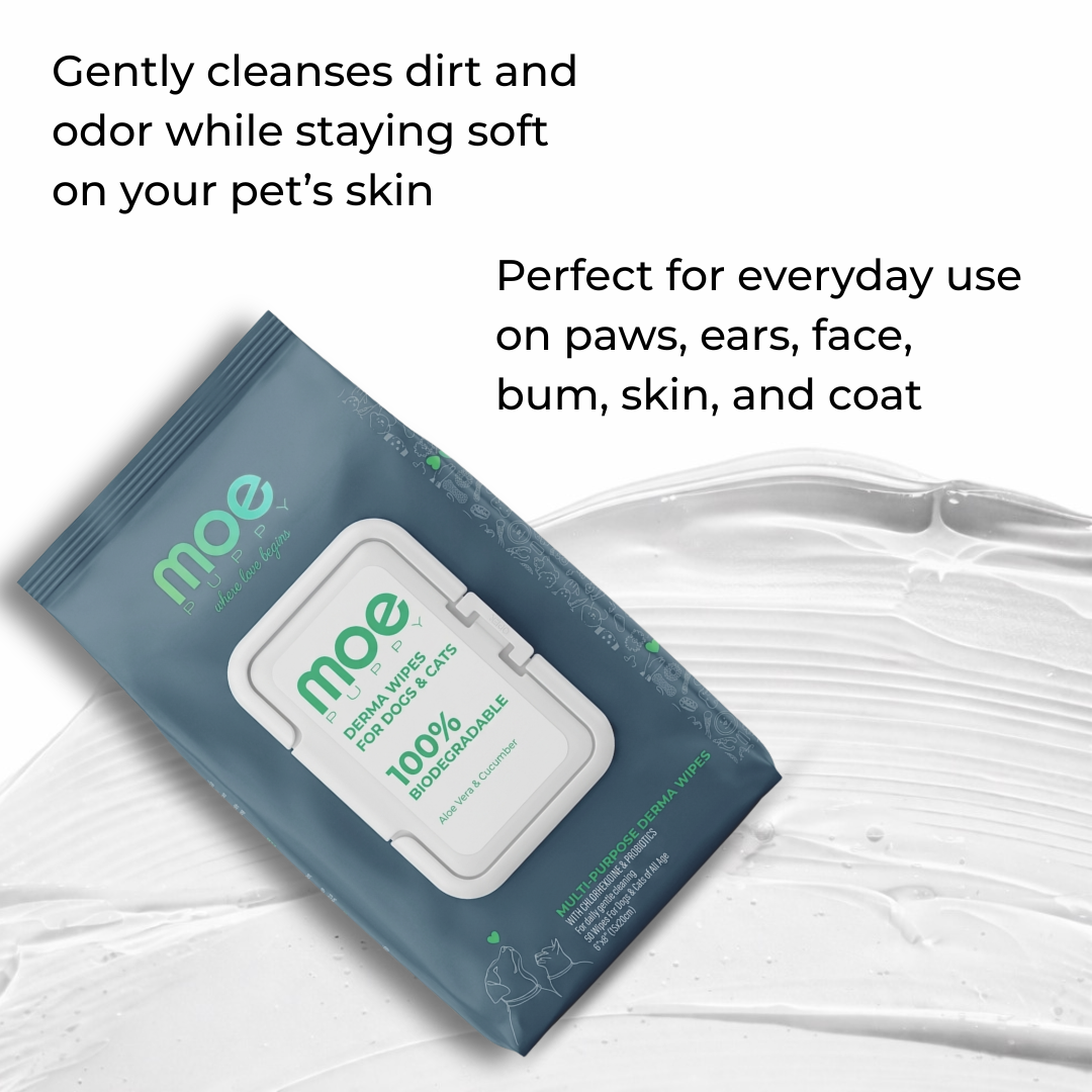 Moe Puppy Aloe Vera & Cucumber 100% Biodegradable Drema Wipes for Dogs and Cats Both-Grooming Supplies Moe Puppy