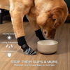 KUTKUT Non Slip Socks for Dogs (Grey) Dogs-Clothing & Accessories KUTKUT Dropship