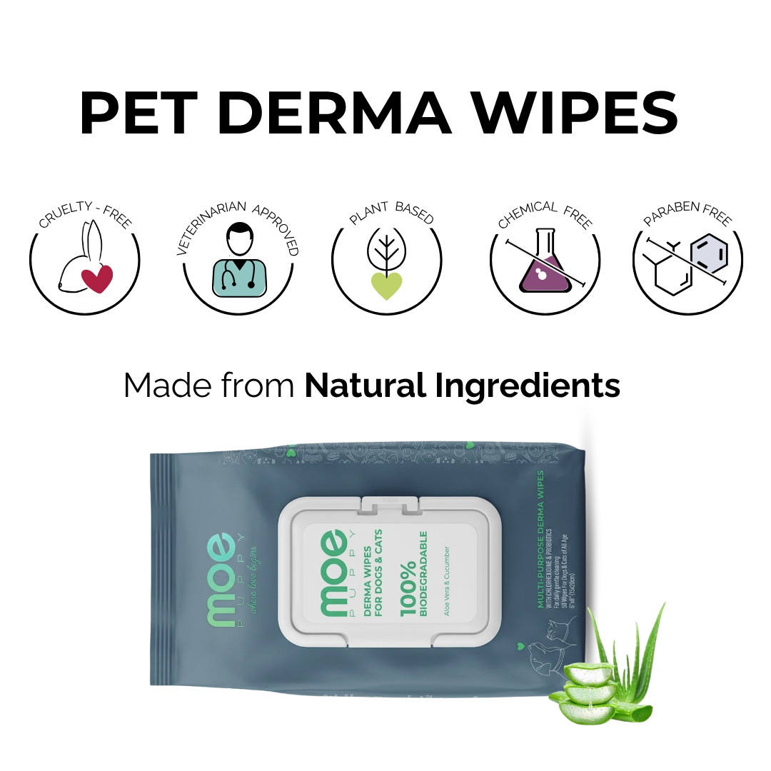 Moe Puppy Aloe Vera & Cucumber 100% Biodegradable Drema Wipes for Dogs and Cats Both-Grooming Supplies Moe Puppy
