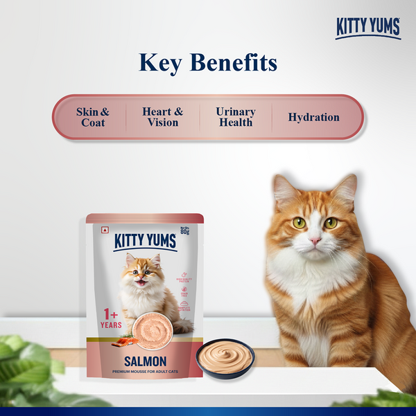 Kitty Yum Salmon Mousse Adult Cat Wet Food