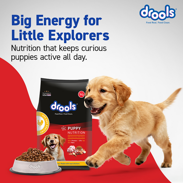 Drools Chicken and Egg Puppy Dog Dry Food