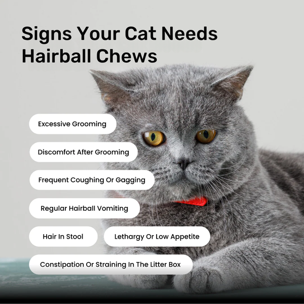 Absolut Pet Hairball Relief Chews Supplements for Cats